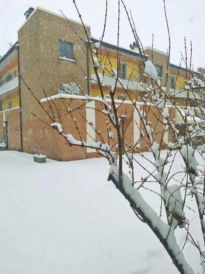 Appartamenti Alle 5 Torri Mezzolombardo Εξωτερικό φωτογραφία